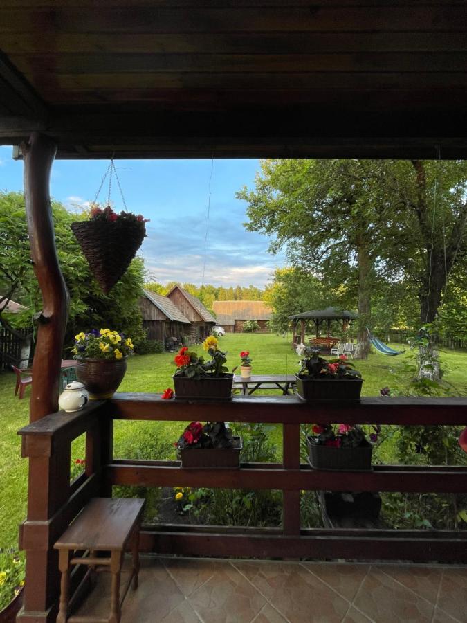 Dom Na Skraju Puszczy Bialowieskiej Narewka 외부 사진