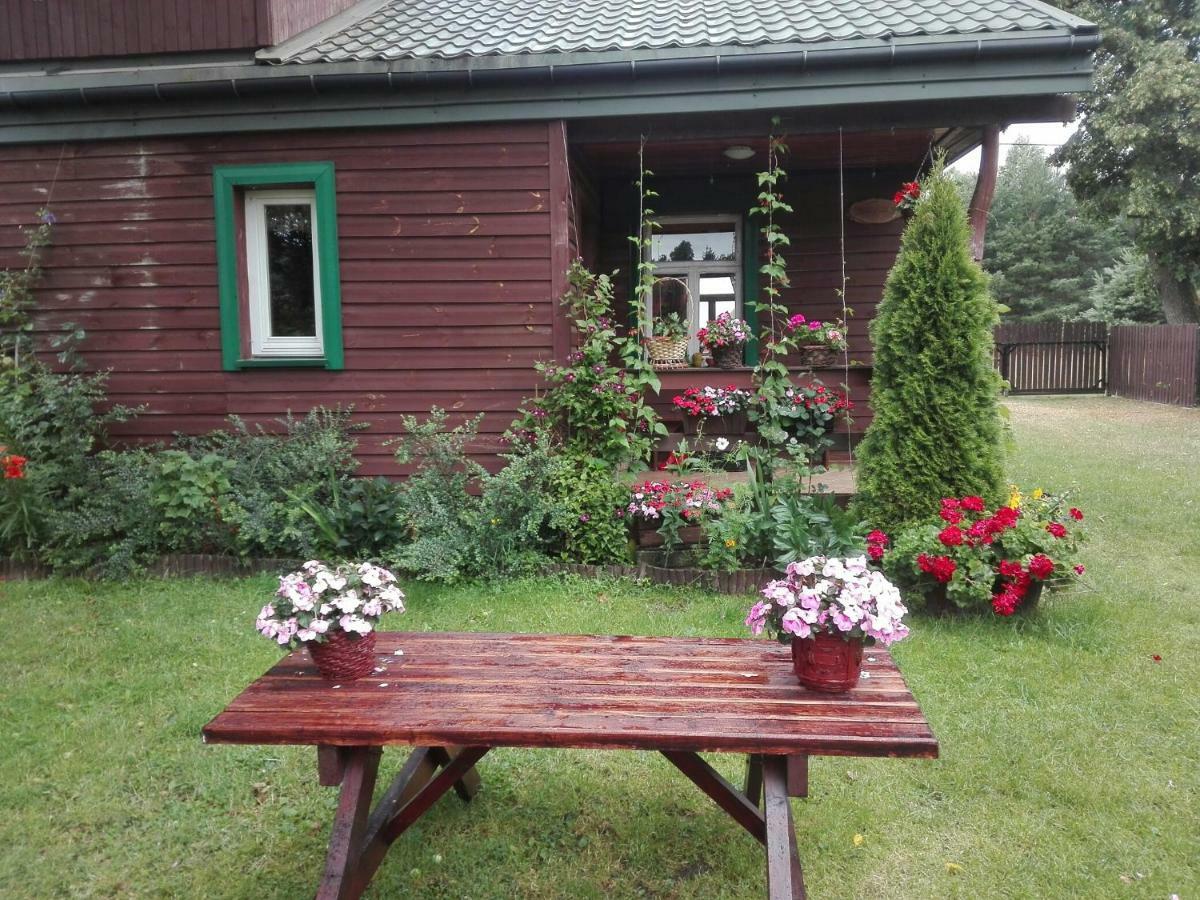 Dom Na Skraju Puszczy Bialowieskiej Narewka 외부 사진